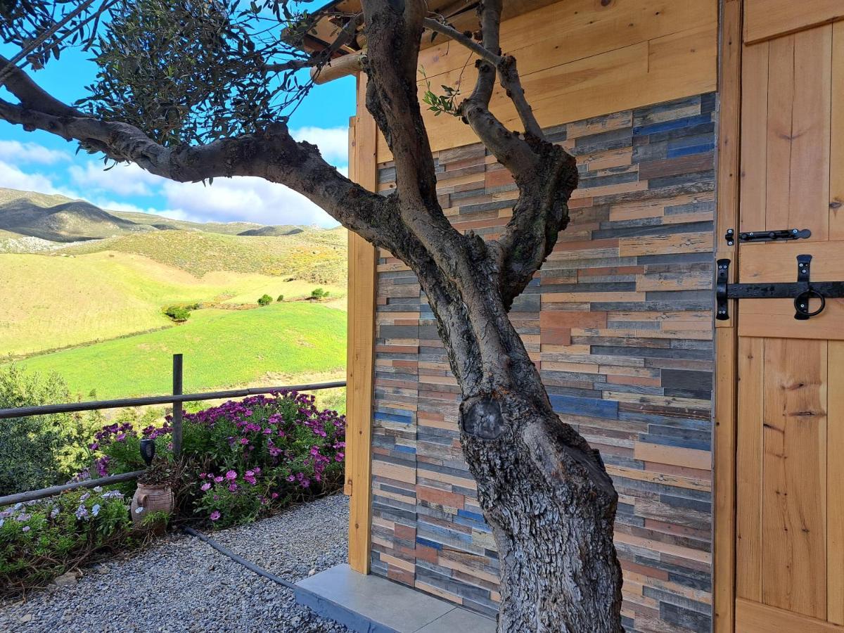 Paránimfoi Wooden House At The Mountain-Private旅馆 外观 照片